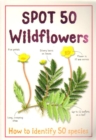 Image for Spot 50 Wild Flowers
