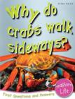 Image for Why do crabs walk sideways?