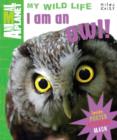 Image for I am an Owl