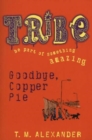 Image for Goodbye, Copper Pie