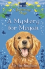 Image for A mystery for Megan