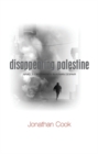 Image for Disappearing Palestine
