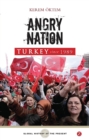 Image for Turkey since 1989  : angry nation