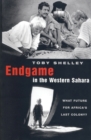 Image for Endgame in the Western Sahara: what future for Africa&#39;s last colony?