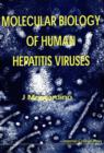 Image for Molecular biology of human hepatitis viruses