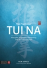 Image for The Practice of Tui Na