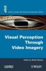 Image for Visual Perception Through Video Imagery