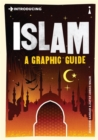 Image for Introducing Islam
