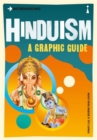 Image for Introducing Hinduism: a graphic guide