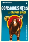 Image for Introducing consciousness: a graphic guide