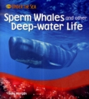 Image for Sperm whales and other deep-water life