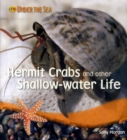 Image for Hermit crabs and other shallow-water life