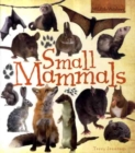 Image for Small mammals