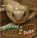 Image for Snakelet to snake