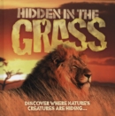 Image for Hidden in the Grass