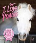 Image for I love ponies