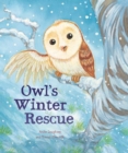 Image for Animal Seasons: Owl&#39;s Winter Rescue