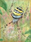 Image for Animal Diaries: Spider