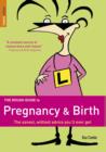 Image for The rough guide to pregnancy and birth