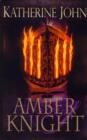 Image for The Amber Knight