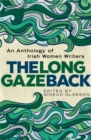 Image for The Long Gaze Back : An Anthology of Irish Women Writers