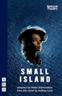 Small island by Levy, Andrea cover image