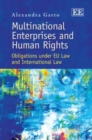 Image for Multinational Enterprises and Human Rights
