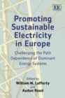Image for Promoting Sustainable Electricity in Europe