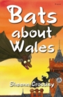 Image for Bats About Wales