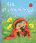 Image for Cyfres Draenog Bach: Un Diwrnod Braf