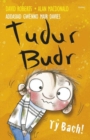 Image for Tudur Budr: Ty Bach