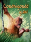 Image for Cyfres Dechrau Da: Coedwigoedd Glaw