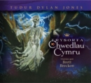 Image for Trysorfa Chwedlau Cymru