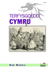 Image for Tipyn O&#39;n Hanes: Terfysgoedd Cymru