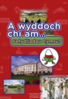 Image for Cyfres a Wyddoch Chi: A Wyddoch Chi am Sefydliadau Cymru?