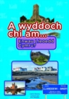 Image for Cyfres a Wyddoch Chi: A Wyddoch Chi am Enwau Lleoedd Cymru?