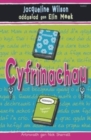 Image for Cyfrinachau