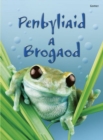 Image for Cyfres Dechrau Da: Penbyliaid a Brogaod