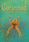 Image for Cyfres Dechrau Da: Corynnod