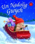Image for Cyfres Draenog Bach: Un Nadolig Gwych