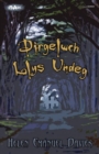 Image for Cyfres Strach: Dirgelwch Llys Undeg