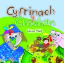 Image for Cyfres Wenfro: Cyfrinach y Crochan