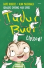 Image for Tudur Budr: Llygod!