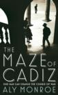 Image for The maze of Cadiz