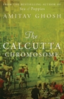 Image for The Calcutta Chromosome