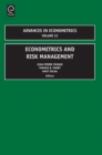 Image for Econometrics and risk management