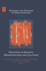 Image for Emotions in groups, organizations and cultures