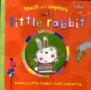 Image for Little Rabbit