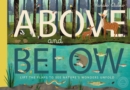 Image for Above and below
