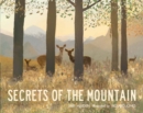 Image for Secrets of the mountain